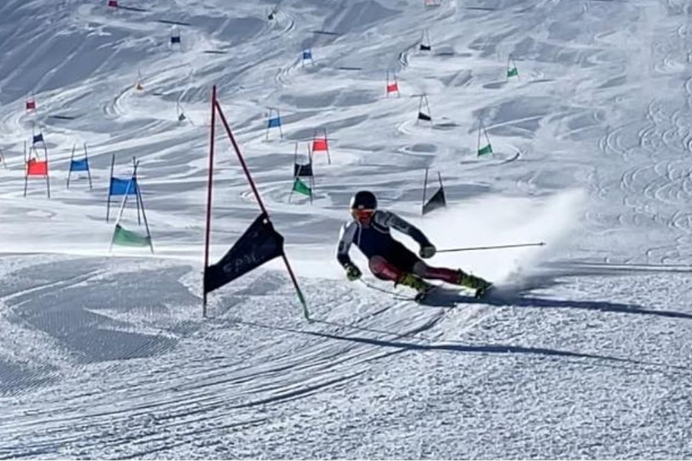 LA COMMISSION ALPINE